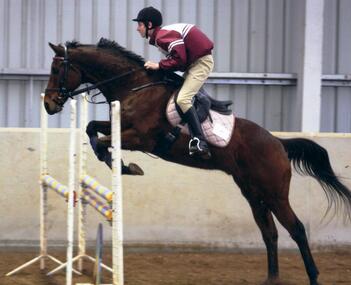Inter-school Equestrian Event, 2008