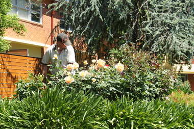 Galen Catholic College Rose Garden, 2015