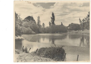 View over the Gong towards the Buninyong Gardens, with established trees and early model motor vehicles