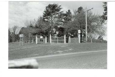 Across intersection, white, iron, double gates with single gates and picket fence either side, big cypress and other trees behind.