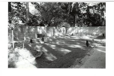 Concrete walls , side and back, tall trees behind, sunken lawn (not sown) bluestone surround