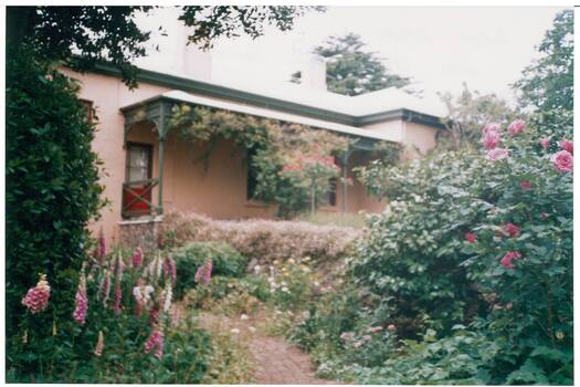 Gold rush cottage framed by trees, brick path curving through cottage garden.