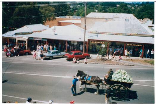 Looking down on srtreet, horse and dray loaded with cabbages, shops on other side.