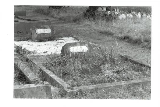 B/W photo two graves, each with plaque with family name, Moss and Tresise, one grave overgrown with weeds, other white gravel, other graves in background.