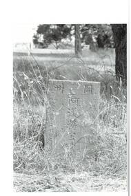 B/W photograph, grave with rectangular stone headstone, engraved with Chinese characters, overgrown with weeds.