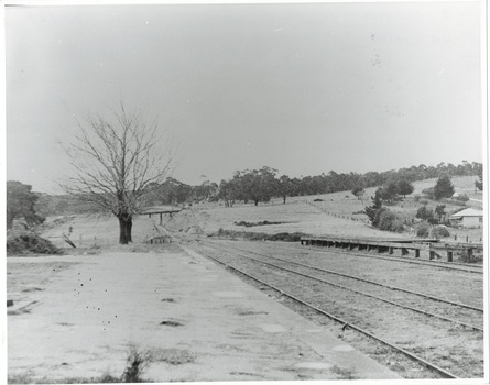 Railway platform left, rail lines running down towards bridge and cutting, bare tree at end of platform, trees and house on right.
