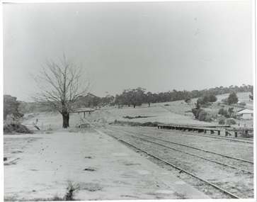 Railway platform left, rail lines running down towards bridge and cutting, bare tree at end of platform, trees and house on right.