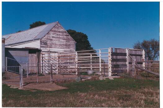 Wooden shed with tin roof, two yards, one enclosed with high pipe fencing, wood at one end, the other low pie and broad wire net.