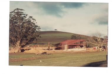 View across open land to building under construction, large blue gum on left, bare hill rising behind.