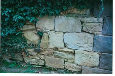 Close up of rough hewn sandstone blocks in wall, partly overgrown with ivy.