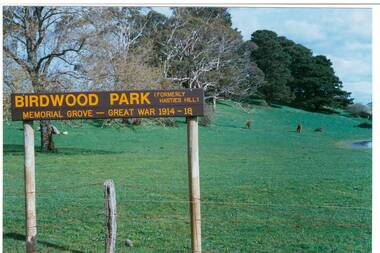 View across open park, with two cows, grove of conifers up hill, "Birdwood Park" sign in foreground.