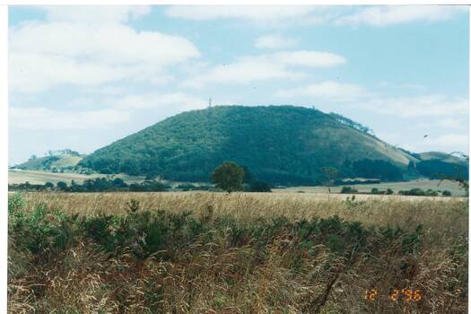 View of Mount from south West, tree-covered with bare patch on right, grassy field in foreground.