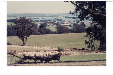 Landscape, rolling fields lined with rows of trees, homestead middle distance, fallen tree trunk in foreground.