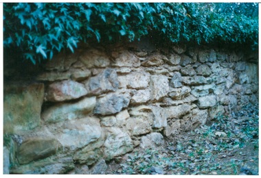 Close up, rough stone wall, topped with ivy.