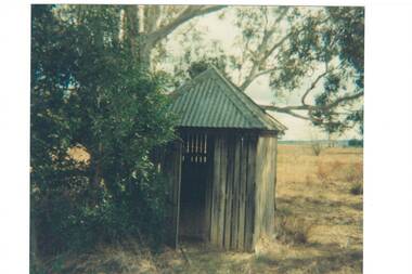 Small shed, corrugated iron  peaked roof, wooden slat walls, wooden door ajar, under a tree, open fields beyond.