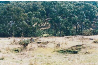 Mine holes and mounds in open field, dry grass, gum forest in valley below.