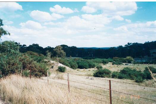 View across field, mostly covered in gorse bushes, mullock heap on left, wire fence foreground, bush in distance.