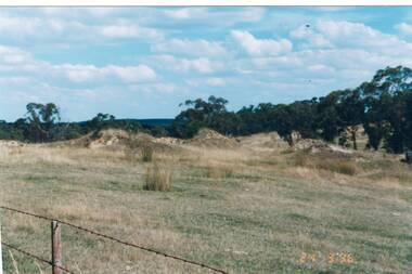 Looking towards mullock heaps across field, bush in background, section of barbed wire fence foreground.