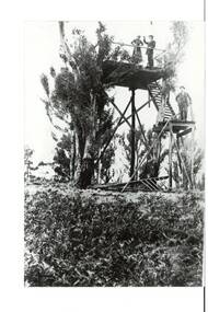 Original Look out tower Mount Buninyong circa 1900 showing visible signs of storm damage. Three people are standing on the two platforms, trees surround the tower.