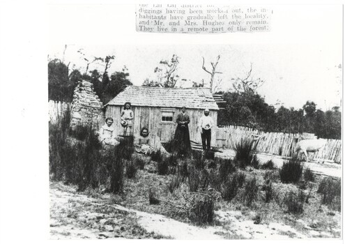 Family in front of primitive bark miner's hut with shingle roof, rough stone chimney on left, parents and youngest daughter standing, two older daughters seated, scrubby grass in foreground, rough picket fence and a cow.