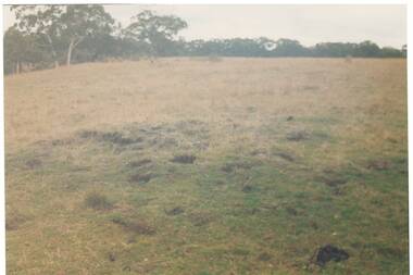 View across field of dry grass to trees. Holes and rough ground in foreground indicate indigenous oven. 