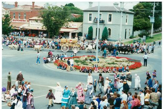 Street scene of the Gold King festival procession negotiating the roundabout at the intersection of Warrenheip and Learmonth Street, a cattle drawn wagon is featured along with members of Sovereign Hill in 19th century period dress walking in the procession.