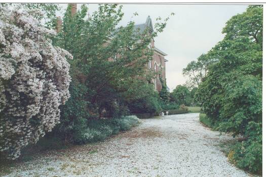 Part of gravel path at Mount Buninyong Homestead with partial view of house.