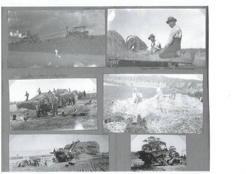 The pictures show various farm tasks being carried out, all are associated with harvesting. 