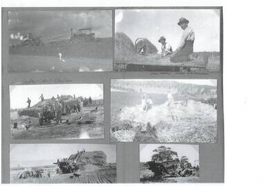 The pictures show various farm tasks being carried out, all are associated with harvesting. 