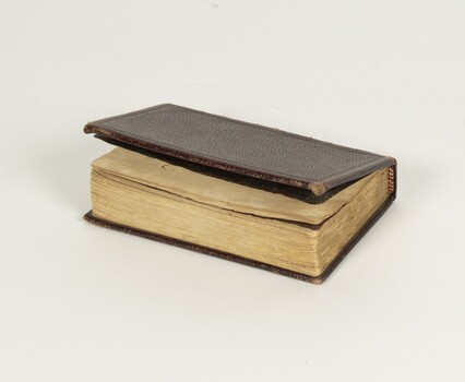 The Birthday Scripture Text Book, page edges