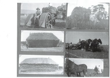 Six photographs of work on the Skelton family farm circa 1930.