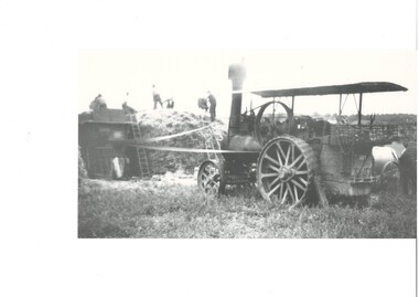 Side view of traction engine working a threshing machine via a canvas belt. 