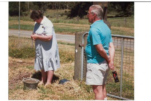 Judy Coull planting an Oak tree at Lal Lal Falls entrance to mark the 1998 Bi Centennial celebrations.