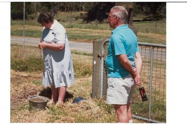 Judy Coull planting an Oak tree at Lal Lal Falls entrance to mark the 1998 Bi Centennial celebrations.