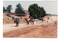 Procession of horse-drawn vehicles along dirt road, school in the distance.