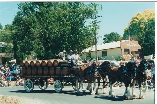 Colour photograph showing the procession of the Buninyong 1997 Festival featuring the CUB Wagon and team of Clydesdales passing RSL Hall and Memorial Park