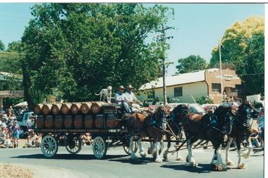 Colour photograph showing the procession of the Buninyong 1997 Festival featuring the CUB Wagon and team of Clydesdales passing RSL Hall and Memorial Park