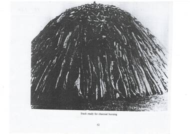 Photograph of wood stacked ready for charcoal burning