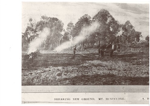 Clearing operations in progress near Mount Buninyong in 19th century