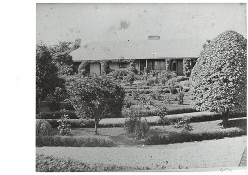 The first Scott family homestead showing an extensive garden and the long single storey building with creepers growing on the verandah posts