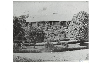 The first Scott family homestead showing an extensive garden and the long single storey building with creepers growing on the verandah posts