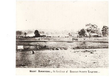 Photograph of Robert Scott's property looking across fenced paddocks to homestead and outbuildings, showing livestock and farming activities