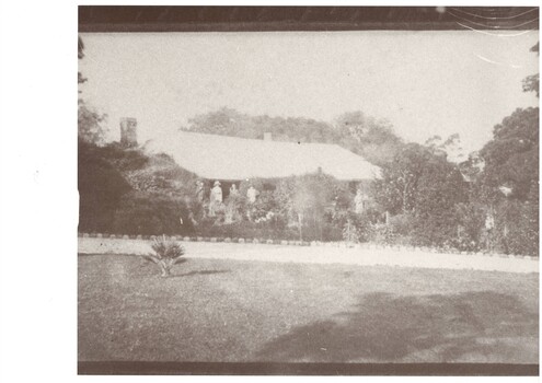 Low roofed homestead, large trees both sides and behind, across lawn to driveway which looks to be lined with recent plantings of trees or shrubs