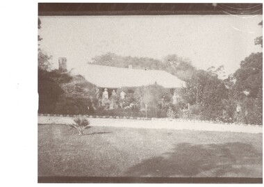 Low roofed homestead, large trees both sides and behind, across lawn to driveway which looks to be lined with recent plantings of trees or shrubs