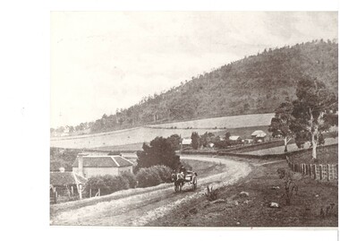 Black and white image of Old Melbourne Road near Mount Warrenheip showing a horse and buggy and driver circa 1921