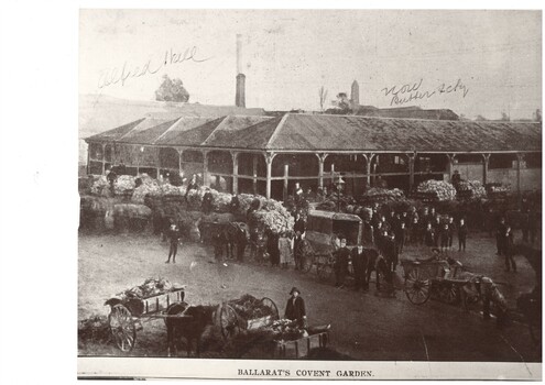 Copy of magazine illustration featuring Ballarat fruit and vegetable market c1890's, horse drawn delivery vehicles and patrons posing for the photographer.