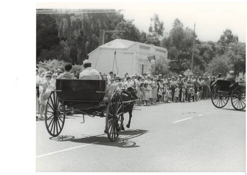 A black and white photo of the 1983 Buninyong Gold King Festival procession featuring horse drawn carriages, spectators and the old Library in Warrenheip Street 