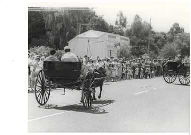 A black and white photo of the 1983 Buninyong Gold King Festival procession featuring horse drawn carriages, spectators and the old Library in Warrenheip Street 