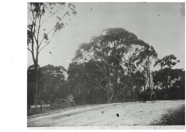 Black and white photograph of unpaved Geelong Road featuring a buggy ascending Grammar Hill showing the railway viaduct through the trees 