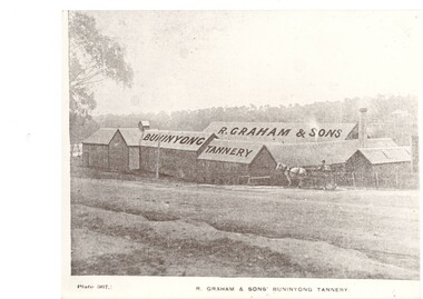 Black and white photograph of Graham's Tannery, taken from the Sebastopol Road showing several substantial buildings and the tannery name on the rooftops